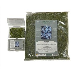 Encens en grains boite de 50Gr Sauge Blanche