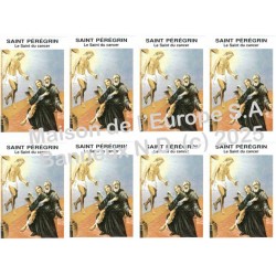 Saint Peregrin Stickers 8/A4 10x6.8 cm