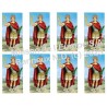 Saint Donat Stickers 8 / A4 10x6,8 cm    