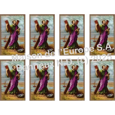 Saint André Stickers 8/A4 10x6.8 cm