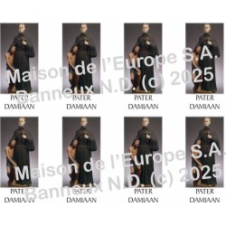 Père Damien  Stickers 8/A4 10x6.8 cm