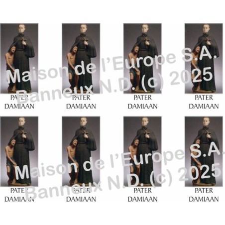Pater Damiaan Stickers 8/A4 10x6,8 cm