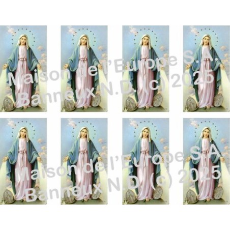  Miraculous Stickers 8 / A4 10x6,8 cm    
