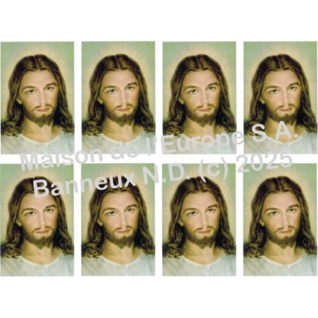 Gezicht van Jesus Stickers 8 / A4 10x6,8 cm    