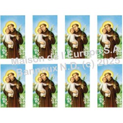 Saint Antoine  Stickers 8/A4 10x6.8 cm