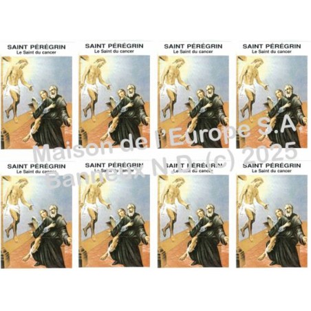 Saint Peregrin Stickers 8/A4 10x6.8 cm