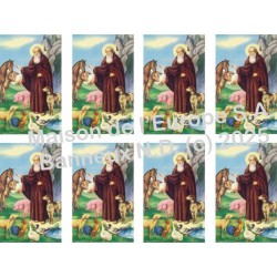 Saint Antoine + cochon  Stickers 8/A4 10x6.8 cm