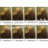 Vader Valentinus bidt Sticker 8/A4 10x6.8 cm