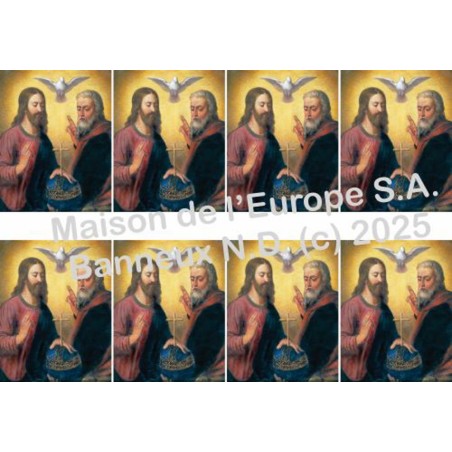 Trinity Stickers 8/A4 10x6.8 cm