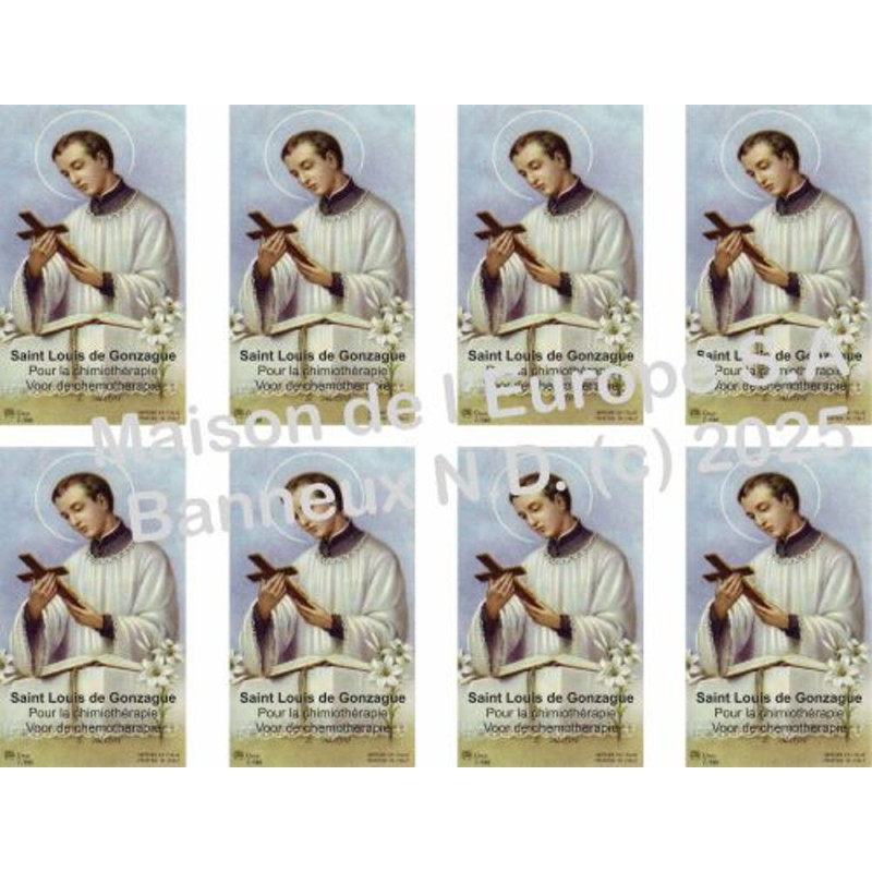 Saint Louis de Gonzague Stickers 8 / A4 10x6,8 cm    
