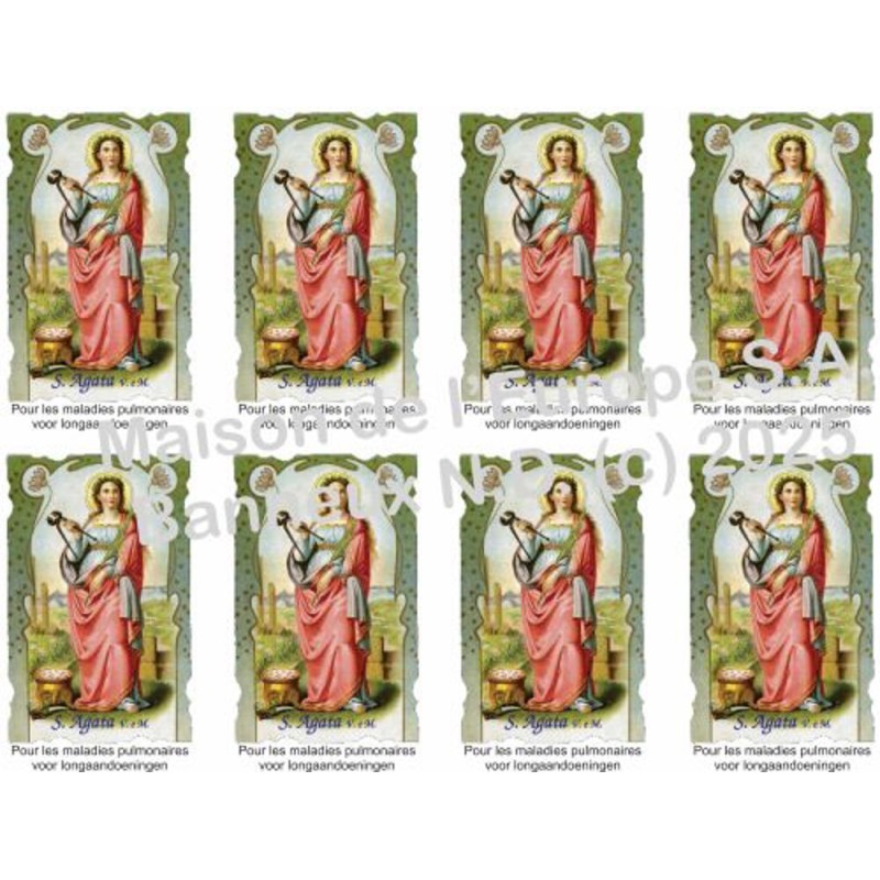 Holy Agathe (Pulmonale Diseases) Stickers 8 / A4 10x6,8 cm    