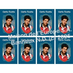 Carlo Acutis Stickers 8/A4 10x6.8 cm