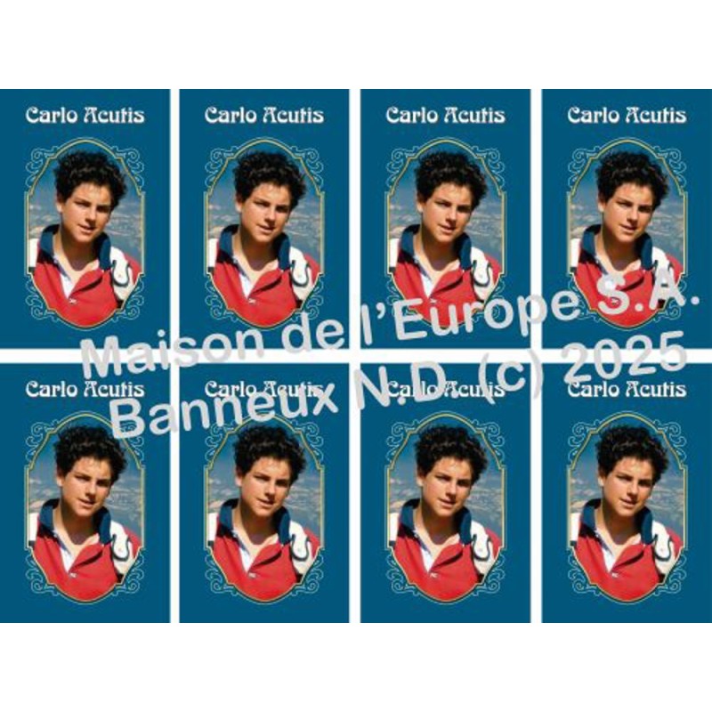 Carlo Acutis Stickers 8/A4 10x6.8 cm Carlo Acutis Stickers 8/A4 10x6.8 cm