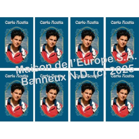 Carlo Acutis Stickers 8/A4 10x6.8 cm