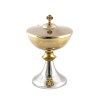 Bicolor ciboor 23 cm hoog