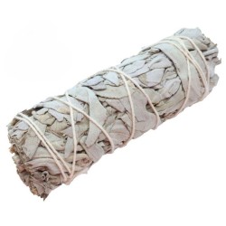 Witte salie 11 cm 25-35 gr