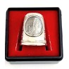 Naaiende deboy zilver