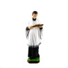 Standbeeld van Saint Louis in hars. 40 cm