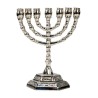 Menorah. Chrome 13 cm hoog