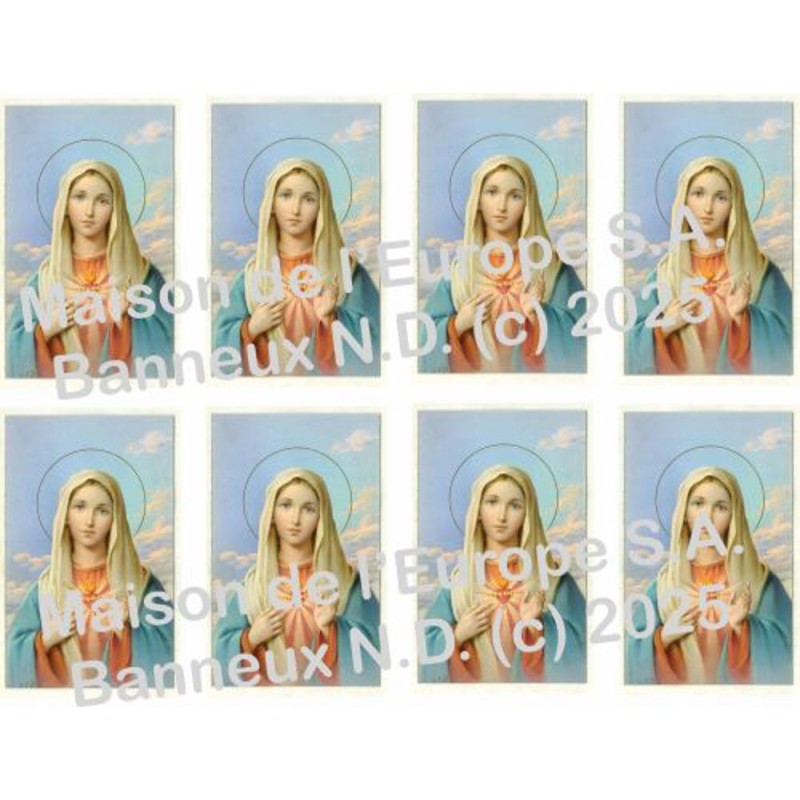 Sacré Cœur de Marie Stickers 8/A4 10x6.8 cm    