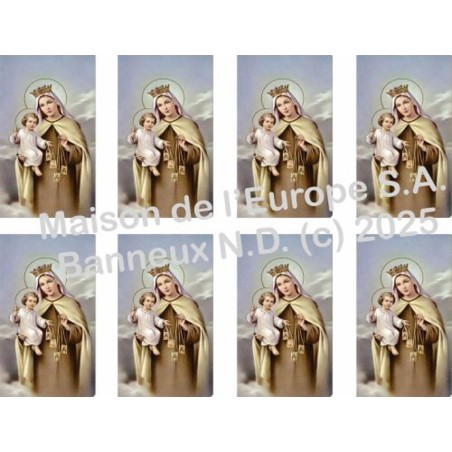 Scapuliere stickers 8 / A4 10x6,8 cm    