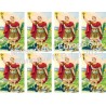 Saint Expedit Stickers 8 / A4 10x6,8 cm    