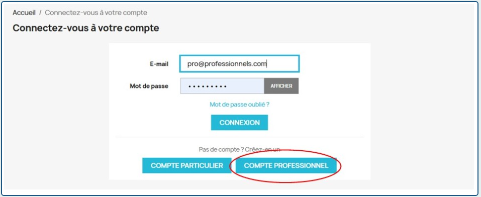 Page de connexion montrant le bouton COMPTE PROFESSIONNEL